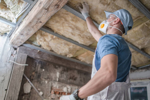 Best Insulation Maintenance and Repair in Christiansburg, VA