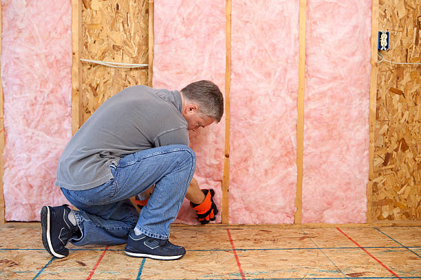 Best Cellulose Insulation in Christiansburg, VA